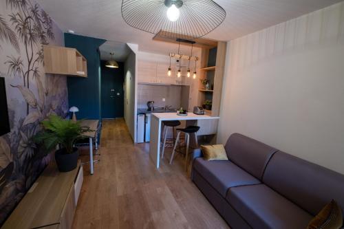 Appartement Toulouse Centre Tbs School Jardin Japonais 17 Rue Pierre Salies Toulouse