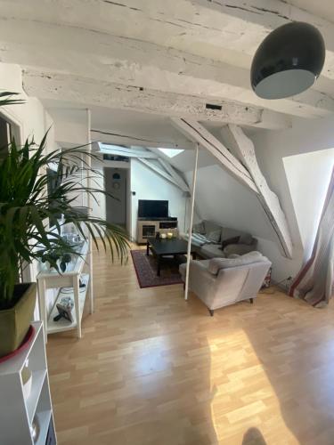 Appartement TOURS quartier halles 70m2 Nericault destouches 63 Tours