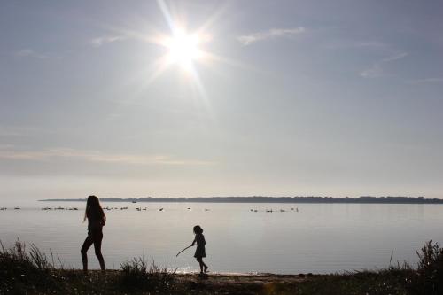 Maisons de vacances Traditionelles Ferienhaus an der Ostsee Dorfstraße 18b Rerik