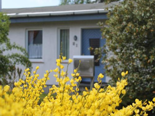 Maison de vacances Tranquil Holiday Home in Zingst Germany with Terrace  Zingst