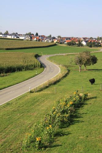 Traubshof Ochsenhausen allemagne