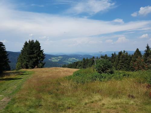 Appartement Traumurlaub im Bayerische Wald Am Predigtstuhl nr 4 Sankt Englmar