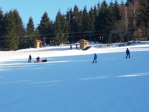 Traumurlaub im Bayerische Wald Sankt Englmar allemagne