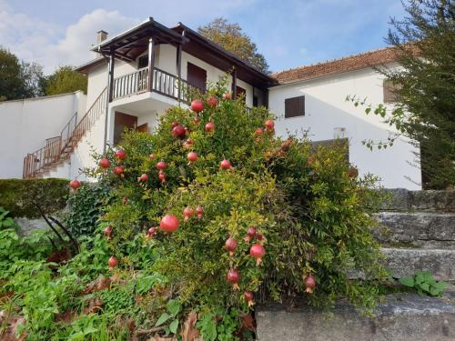 Maison de vacances Travessa Das Quintas Travessa das Quintas Baiões
