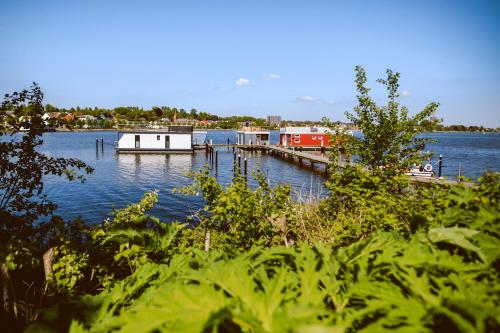 TreibGut Schleswig allemagne