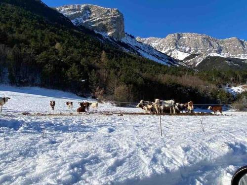 Très Grand Gîte équipé à la montagne Le Glaizil france