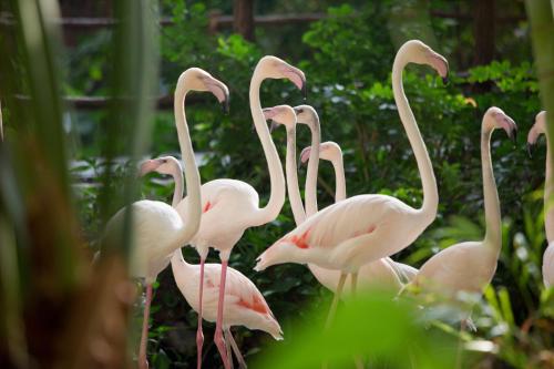 Complexe hôtelier Tropical Islands Tropical Islands Allee 1 Krausnick