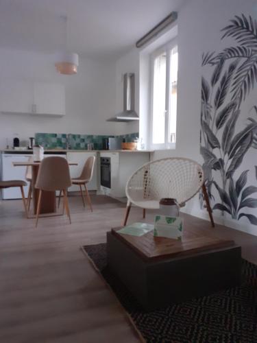 Appartement Tropical loft 2ème étage 12 Rue Villeneuve Le Puy-en-Velay