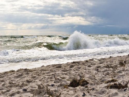 Tu HUs in Linde Eck Zingst allemagne