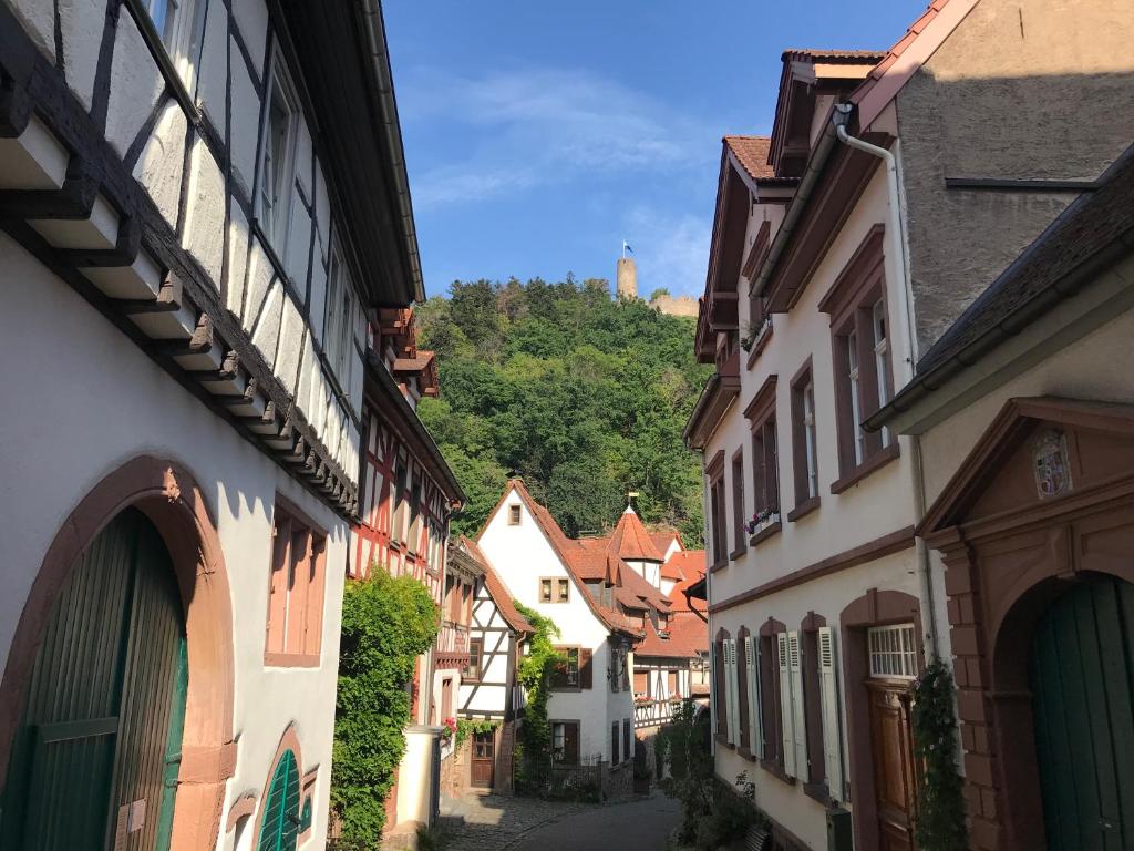 Appartement Turmwohnung Büdinger Hof Judengasse 17.1, 69469 Weinheim