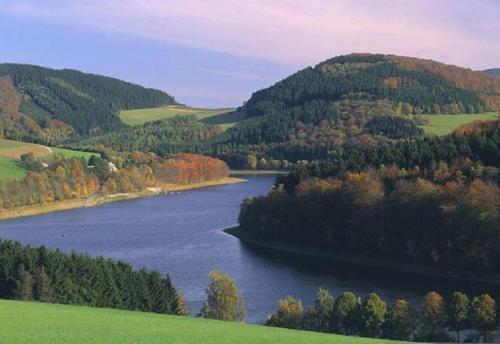 Typ Murmeltier Schmallenberg allemagne