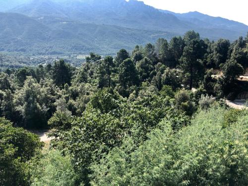 Auberge de jeunesse U Castellu lieu dit I Lughi Vero