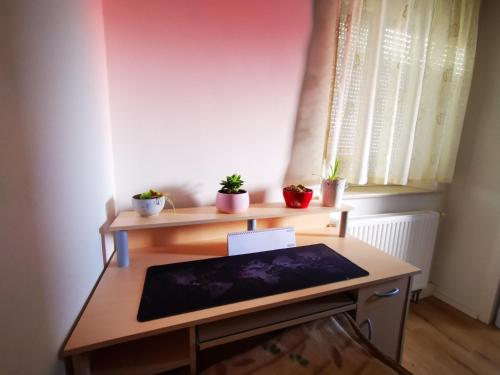 Appartement Ulm 2-room Apartment near university & city Centre  Ulm