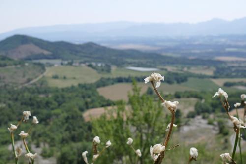 Un Gite de Charme en Haute Provence Sigoyer france