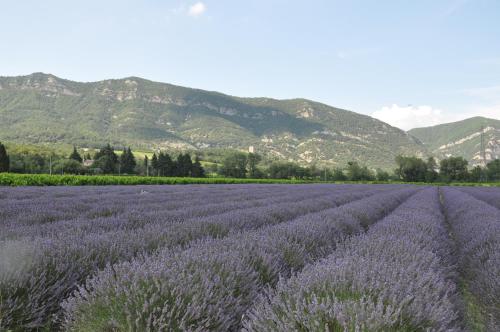 Maison de vacances Un petit coin de paradis 270 chemin de la Vierge Le Péage