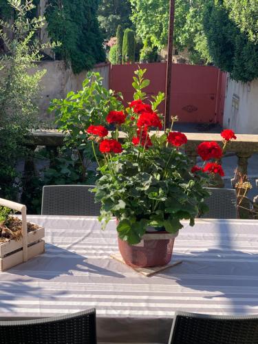 B&B / Chambre d'hôtes Un soir sous les étoiles 2 rue de la chapelle Châteauneuf-de-Gadagne