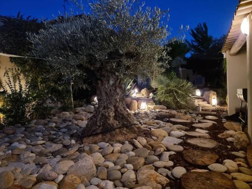 Une Oasis au Pays de Cézanne Aix-en-Provence france