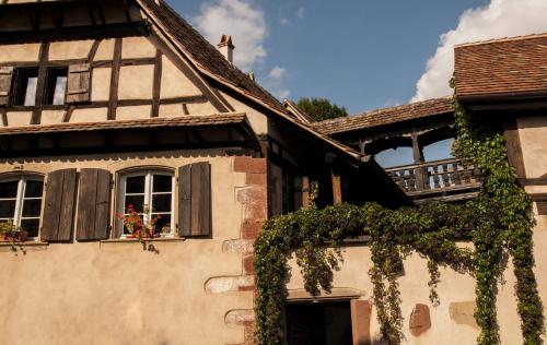 Unter der Linde Nordheim france