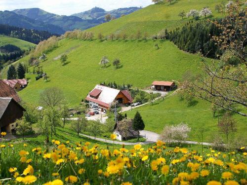 Appartements Unterer Gurethshof Obertal 25 Zell am Harmersbach