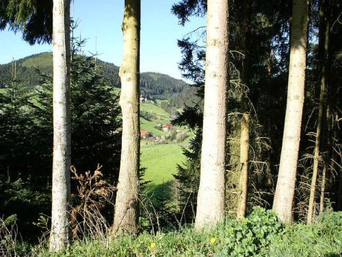 Unterer Gurethshof Zell am Harmersbach allemagne