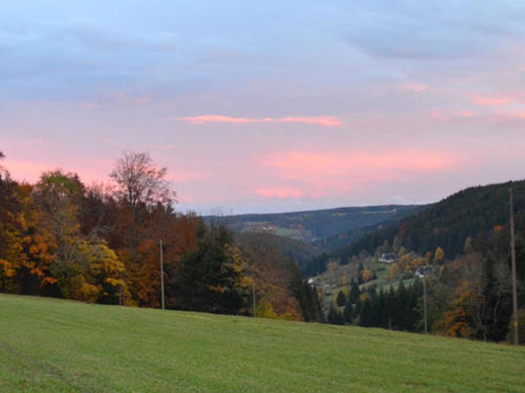 Appartements Unterfalkenhof Falkenweg, 78144 Schramberg