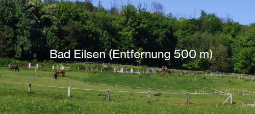 Séjour chez l'habitant Unterkunft Ramser 4 Theodor-Heuss-Straße Bad Eilsen