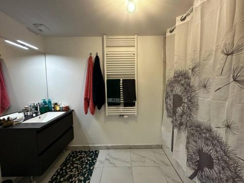 Appartement UP Mont Blanc 142 Rue du Docteur Bonnefoy Sallanches