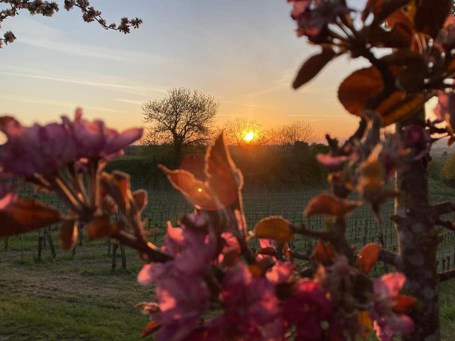 Appartement Urlaub auf dem Winzerhof 6 Langgasse, 79291 Merdingen