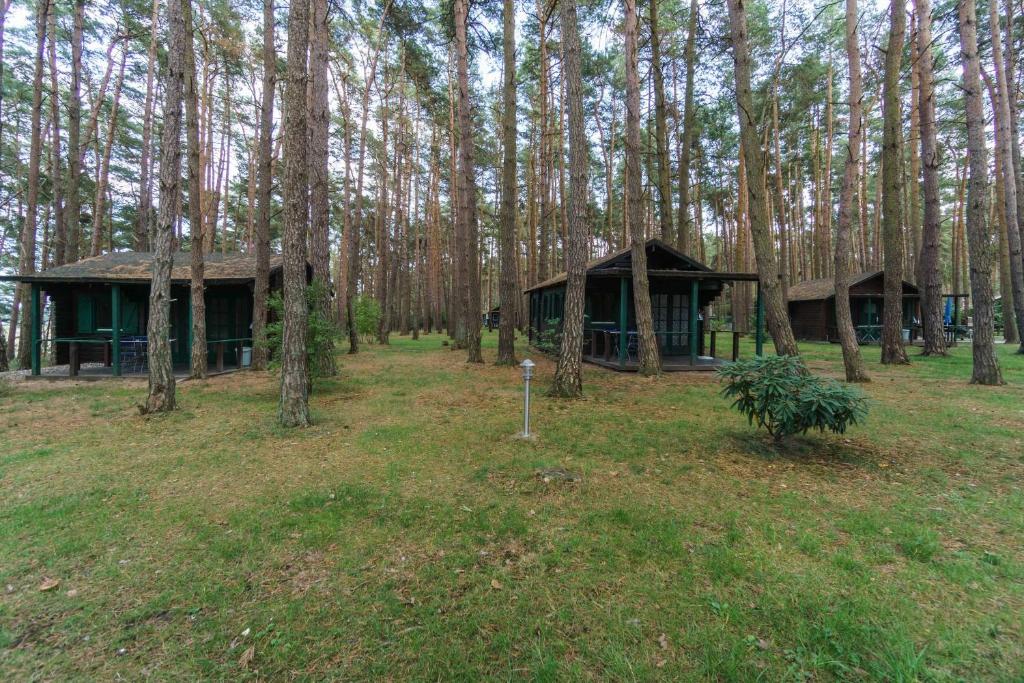 Village vacances Urlaub im Bungalow mitten im Wald Zeltplatzstraße 20a, 17440 Lütow