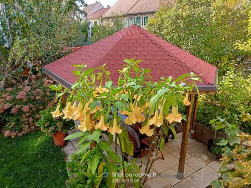 Appartement Urlaub mit Charme in der kleinsten Stadt der Pfalz. 8 Luitpoldstraße Obermoschel