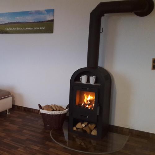 Appartements Urlaub mit Hund - Ferienhof Höhensonne Dorfplatz 23 Rathmannsdorf
