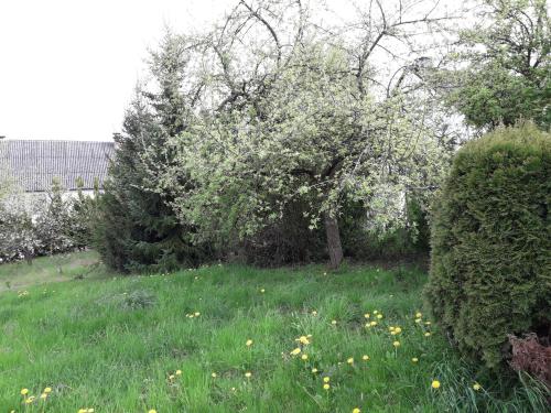 Maison de vacances Vakantie boerderij De Boerenzwaluw 1 Lindenstraße Karl