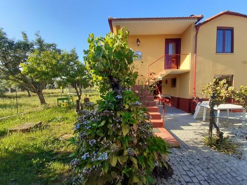 Vakantiewoning Casa das Eiras Pereira portugal