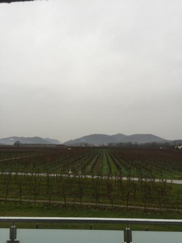 Appartements Valley ferienwohnung SÜW Lindenstrasse 60a Heuchelheim-Klingen