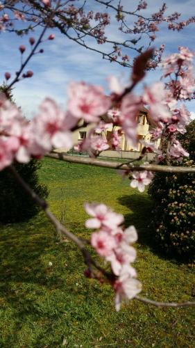 Valley View B&B Brengues france