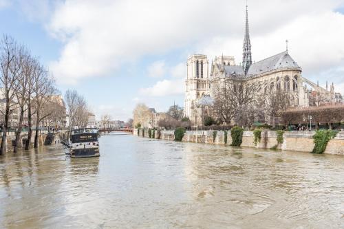 Veeve - Overlooking the Seine on Ile de la Cité Paris france