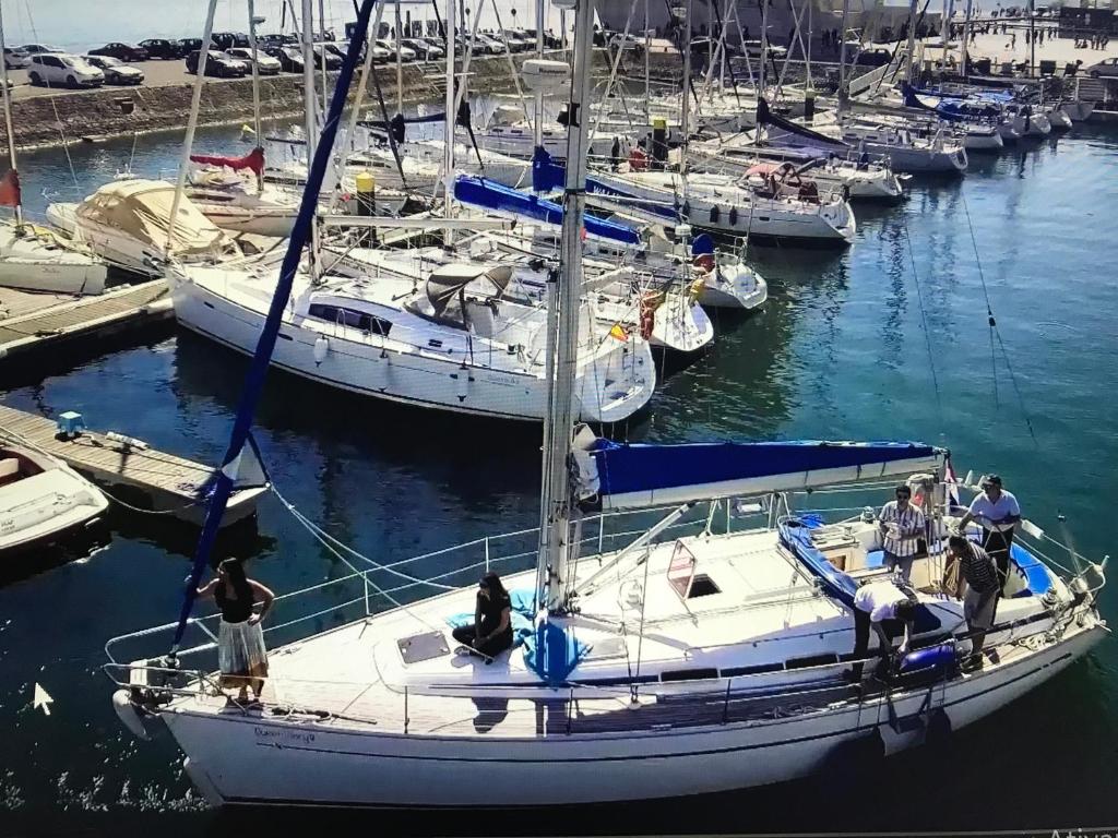 Bateau-hôtel Veleiro Oceanico de 12 m Av. Brasilia , Doca de Belém , Porta 1, embarcação QUENN MARY III, 1400-038 Lisbonne