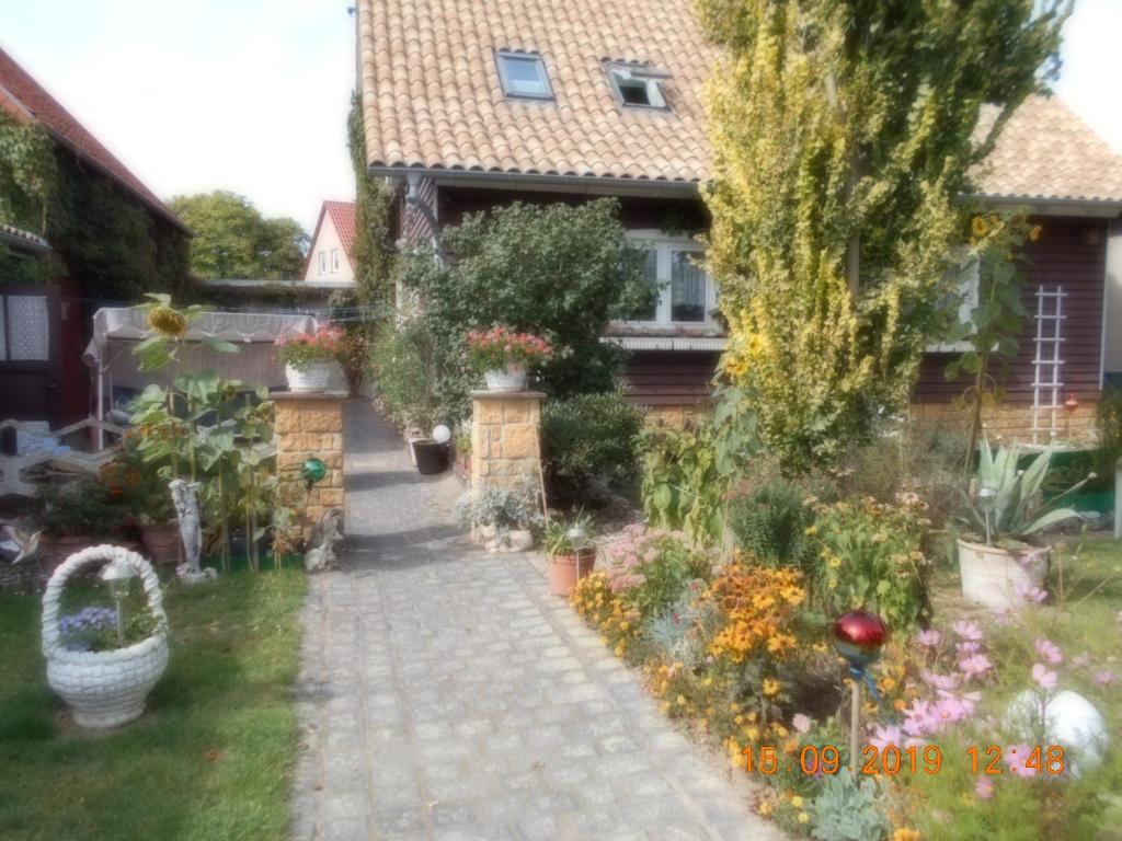 Appartement Vermiete sehr schönes Apartment in Dankerode im Harz Siedlung 4 1 Etage, 06493 Dankerode