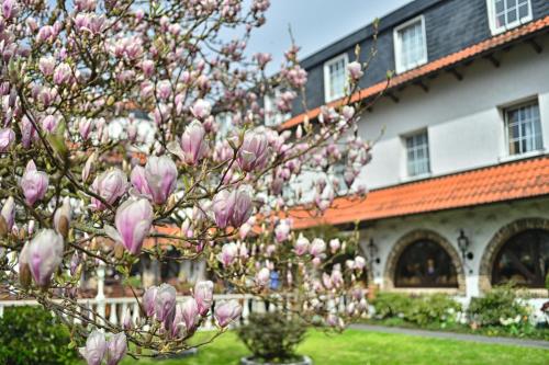 Hôtel Vichter Landhaus Münsterau 140 Stolberg