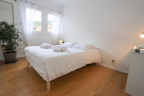 Appartement Vieille ville appartement spacieux avec parking gratuit 35 Côte Perrière Annecy