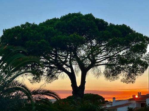 B&B / Chambre d'hôtes Vila De Sol Rua Almeida Garrett 13 Sesimbra