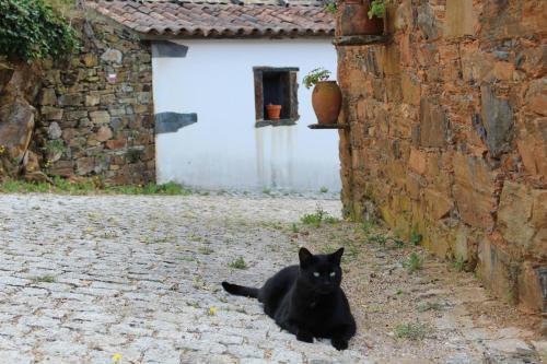 Séjour à la campagne Vilar dos Condes Vilar Cimeiro Madeirã