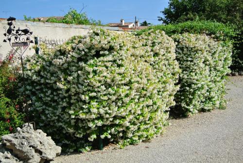 Appartement villa \ 113 chemin de Beauvert Antibes