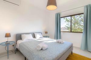 #072 Fantastic and Typical House with Pool and 3m Beach