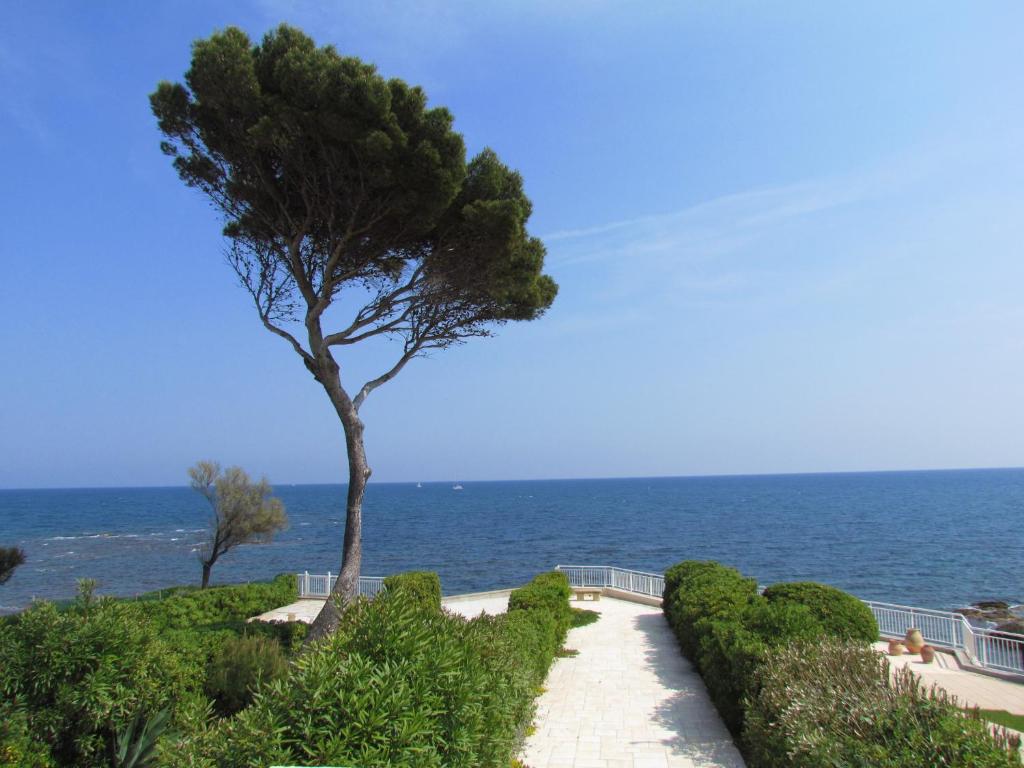 2 bedrooms villa with lake view private pool and enclosed garden at Crasto 1 km away from the beach 4850-122 Crasto