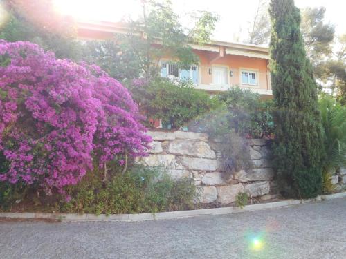 Villa 54 - Plage Aiguebelle 250m Le Lavandou france