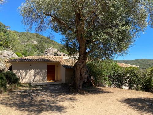 Villa 8 personnes, piscine chauffée Bonifacio france