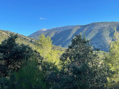 À mont nos hôtes 2