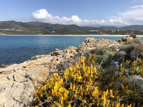 Villa Agliastru à 900m de la plage de Lozari Belgodère france