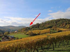 Alsace Panorama